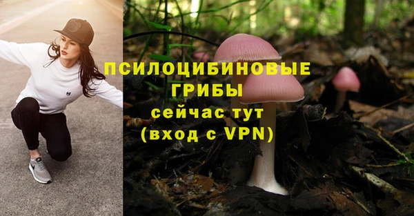 бутират Липки