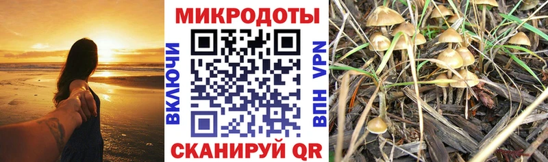 Купить закладки  Зеленогорск  Псилоцибиновые грибы MAGIC MUSHROOMS 